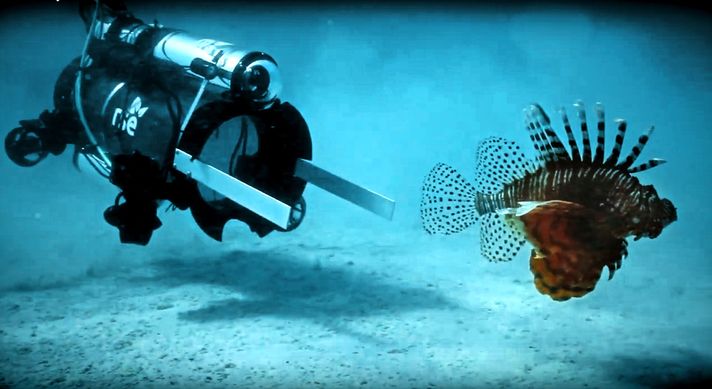 Deniz altı robotuyla avlama